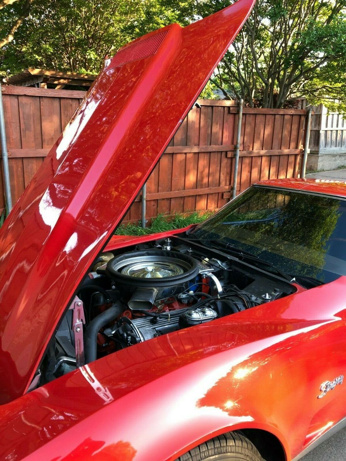 1973 Chevrolet Corvette - photo 11