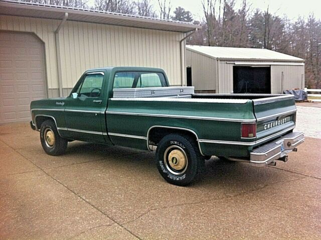 1973 Chevrolet C/K Pickup 2500 custom deluxe - photo 6