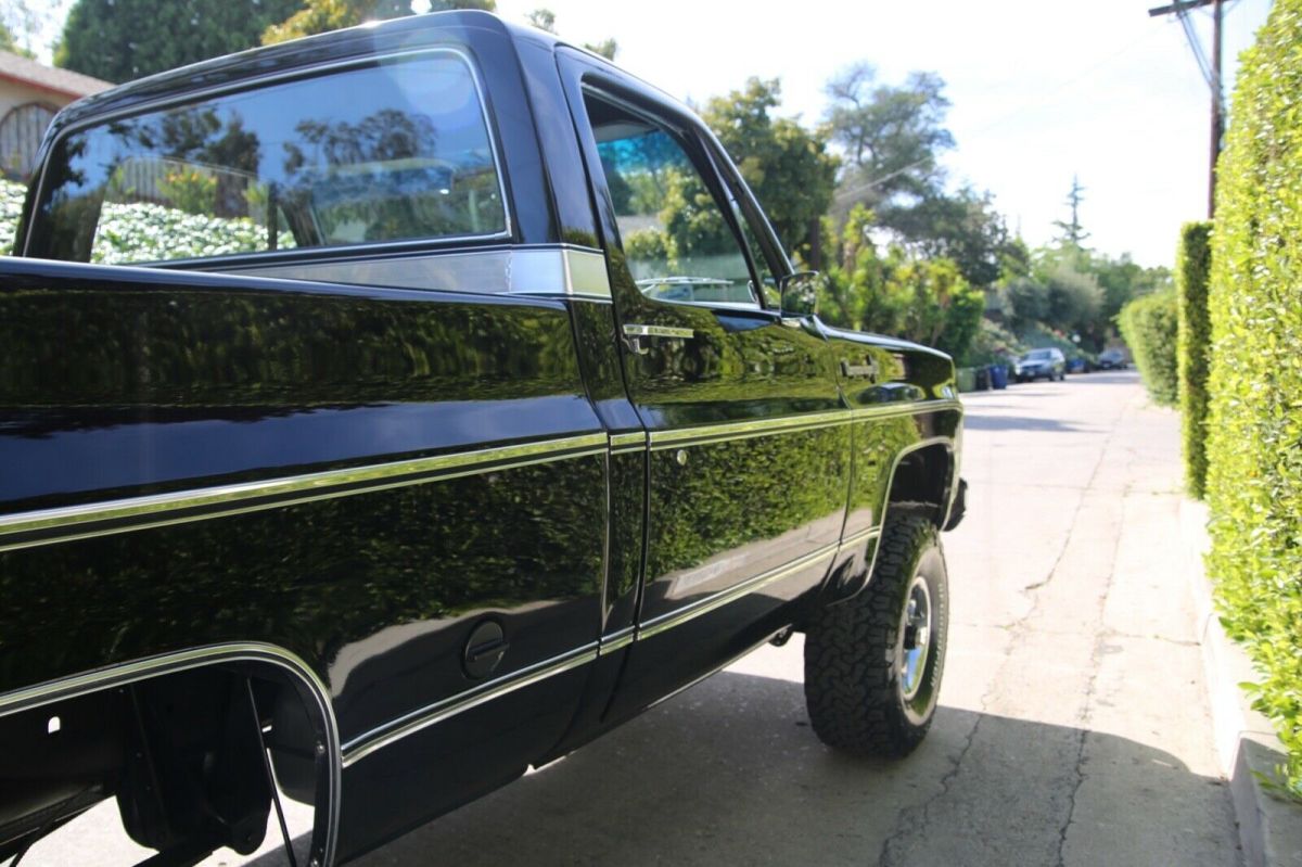 1973 Chevrolet Other Pickups - photo 8
