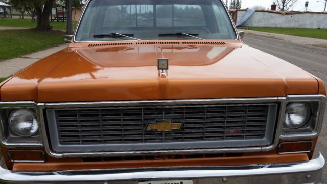 1973 Chevrolet C/K Pickup 1500 Cheyenne Super - photo 9