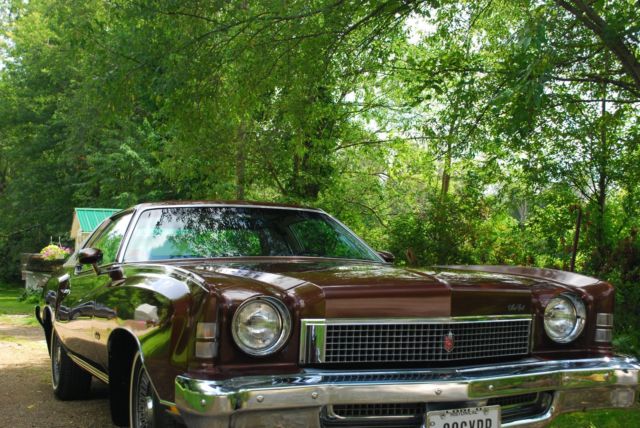 1973 Chevrolet Monte Carlo - photo 4