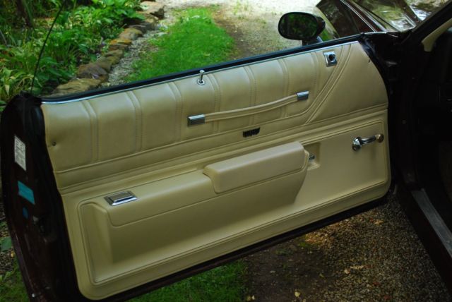 1973 Chevrolet Monte Carlo - photo 7