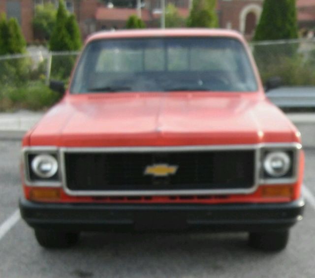 1973 Chevrolet Other Pickups Stepside - photo 2