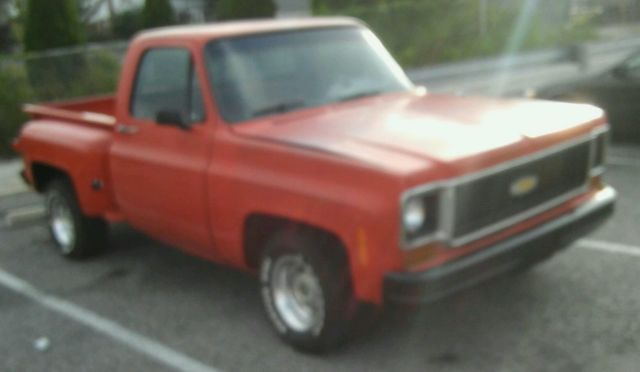 1973 Chevrolet Other Pickups Stepside - photo 3