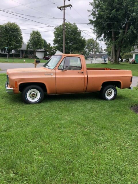 1973 Chevrolet C-10 Custom deluxe