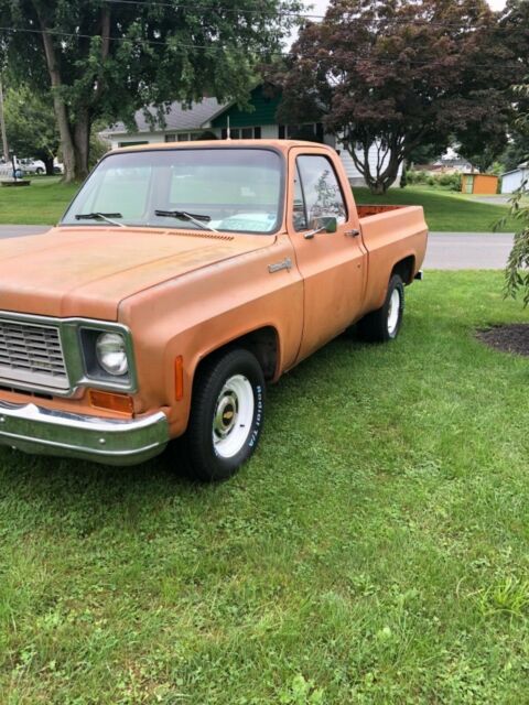 1973 Chevrolet C-10 Custom deluxe - photo 3