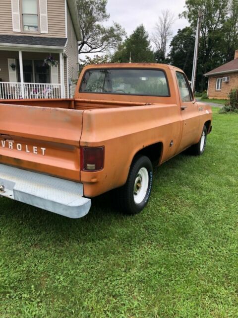 1973 Chevrolet C-10 Custom deluxe - photo 6