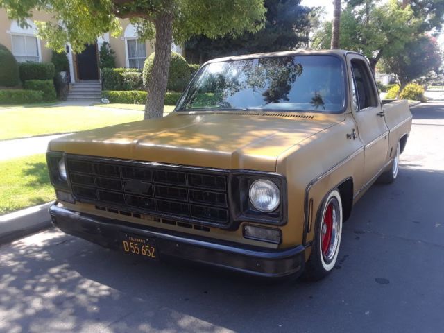 1973 Chevrolet C-10 Standard - photo 2