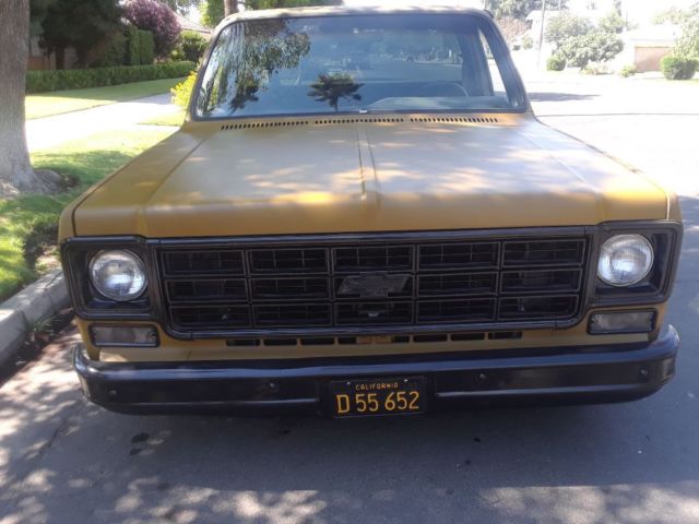 1973 Chevrolet C-10 Standard - photo 6
