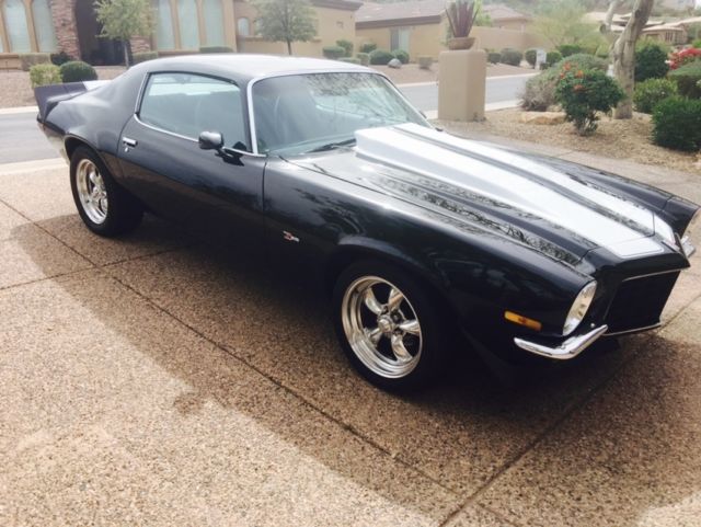 1973 Chevrolet Camaro Z28 Emblems - photo 13