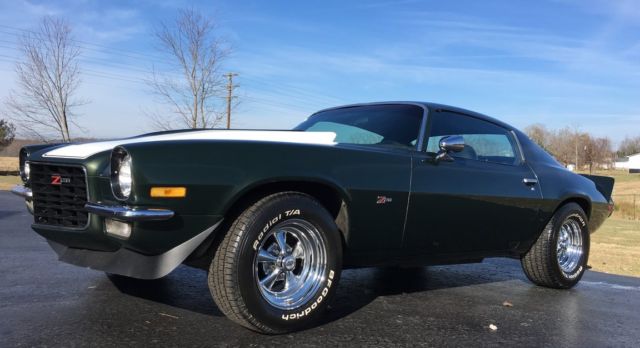 1973 Chevrolet Camaro Z28 Emblems - photo 12