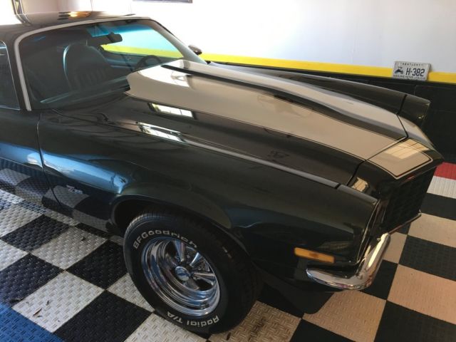 1973 Chevrolet Camaro Z28 Emblems - photo 9