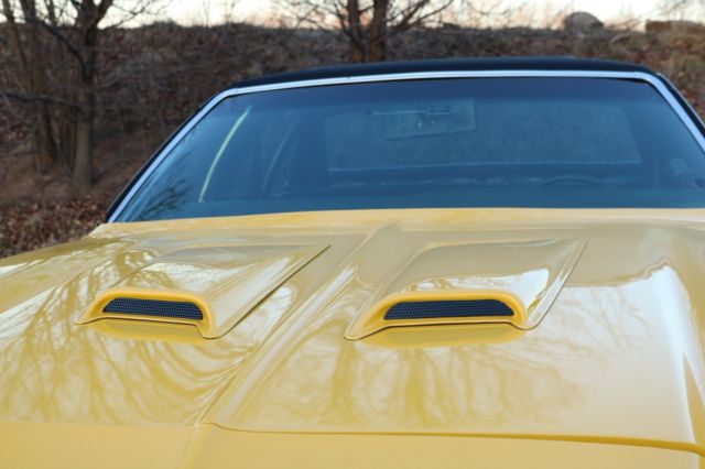 1973 Chevrolet Chevelle Laguna - photo 7