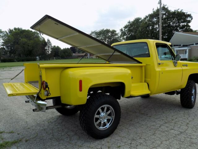 1973 Chevrolet C/K Pickup 1500 Custom Deluxe - photo 10