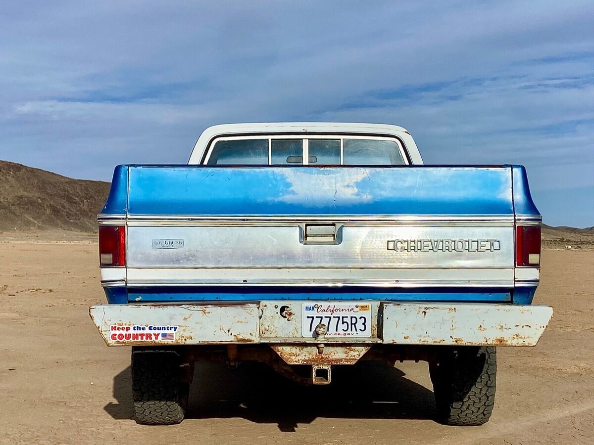 1973 Chevrolet Other Pickups - photo 10