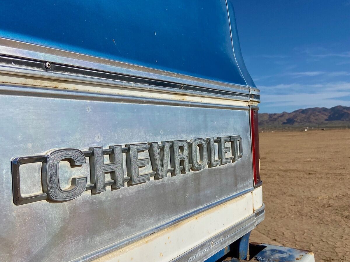1973 Chevrolet Other Pickups - photo 11