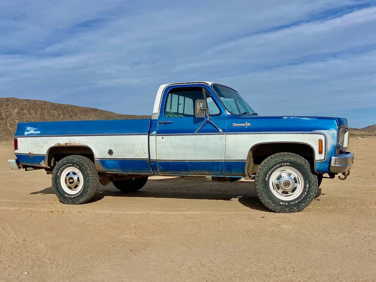 1973 Chevrolet Other Pickups - photo 9