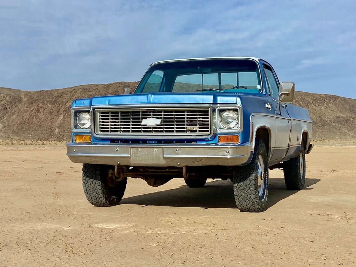 1973 Chevrolet Other Pickups - photo 6