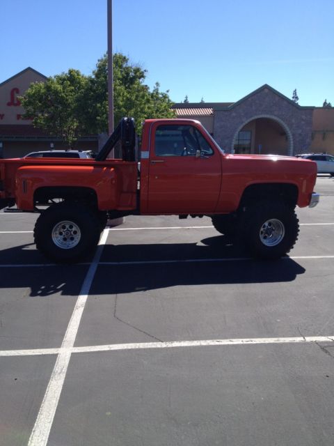 1973 Chevrolet C/K Pickup 1500 Cheyenne - photo 3