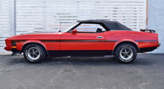 1973 Ford Mustang MACH 1 TRIBUTE - photo 7