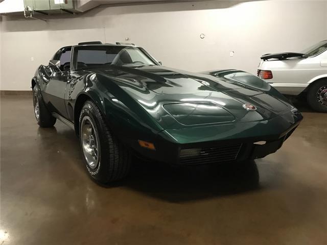 1973 Chevrolet Corvette Dry Climate Corvette - photo 8