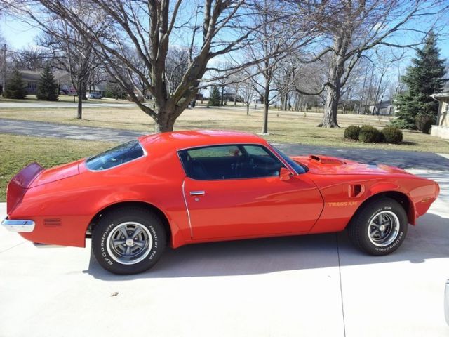 1973 Pontiac Firebird Trans Am - photo 5