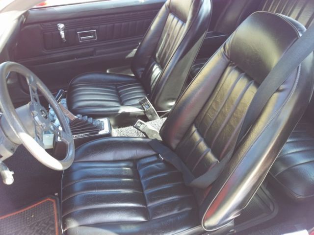 1973 Pontiac Firebird Trans Am - photo 8
