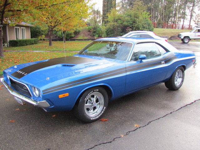 1973 Dodge Challenger Challenger - photo 5