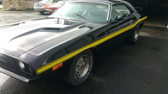 1973 Dodge Challenger basic - photo 2