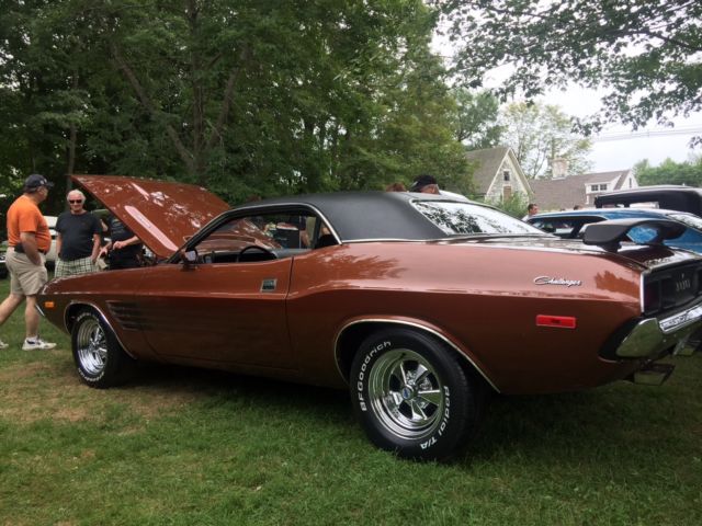 1973 Dodge Challenger Rally package - photo 8