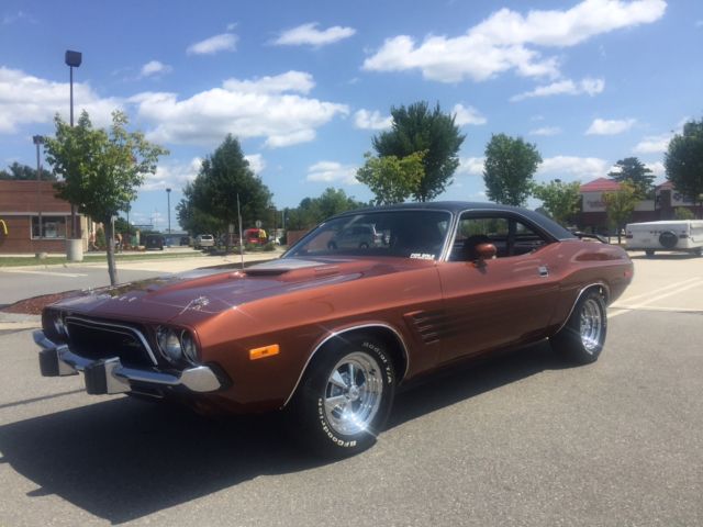 1973 Dodge Challenger Rally package - photo 9