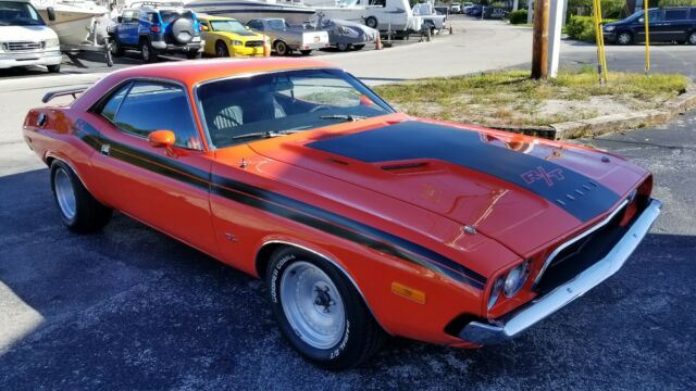 1973 Dodge Challenger Challenger - photo 3