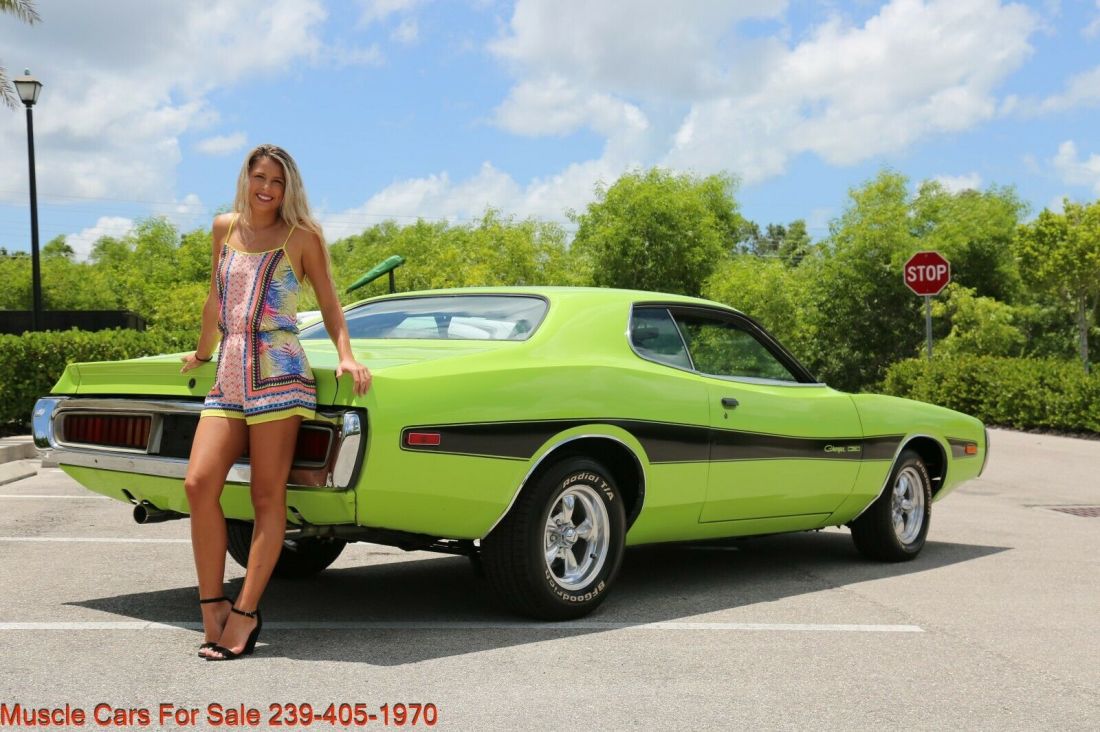 1973 Dodge Charger 340 Charger # Match - photo 3