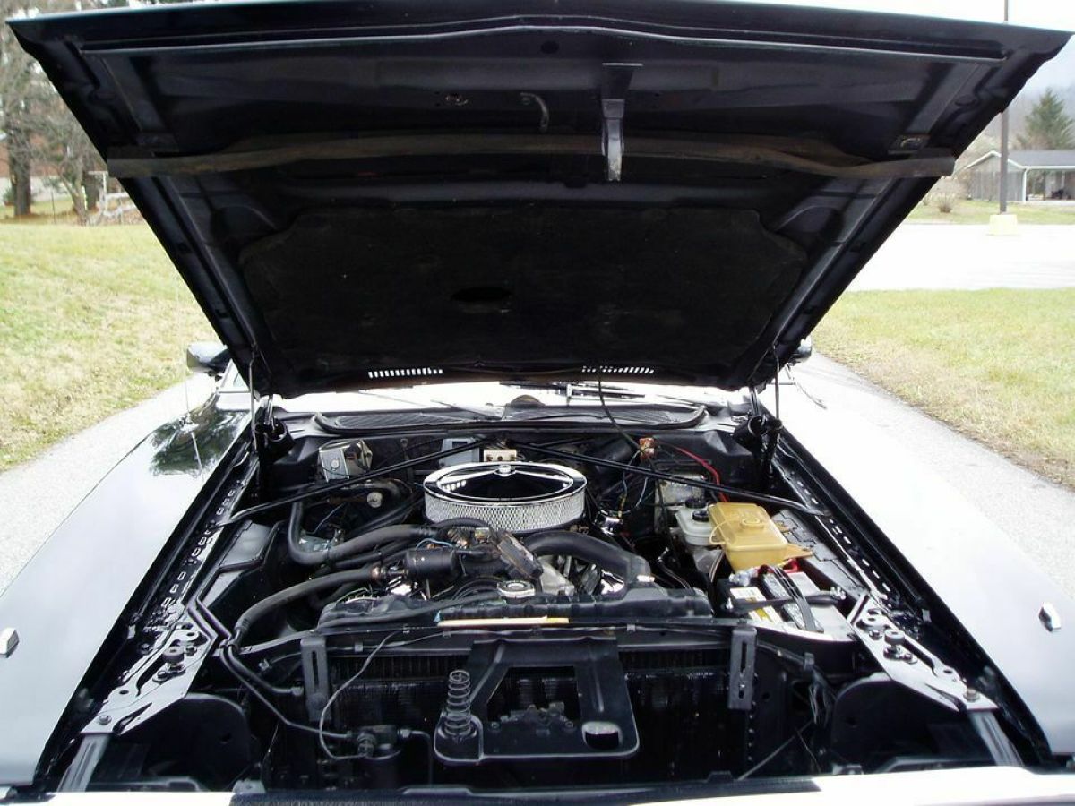 1973 Dodge Charger - photo 3