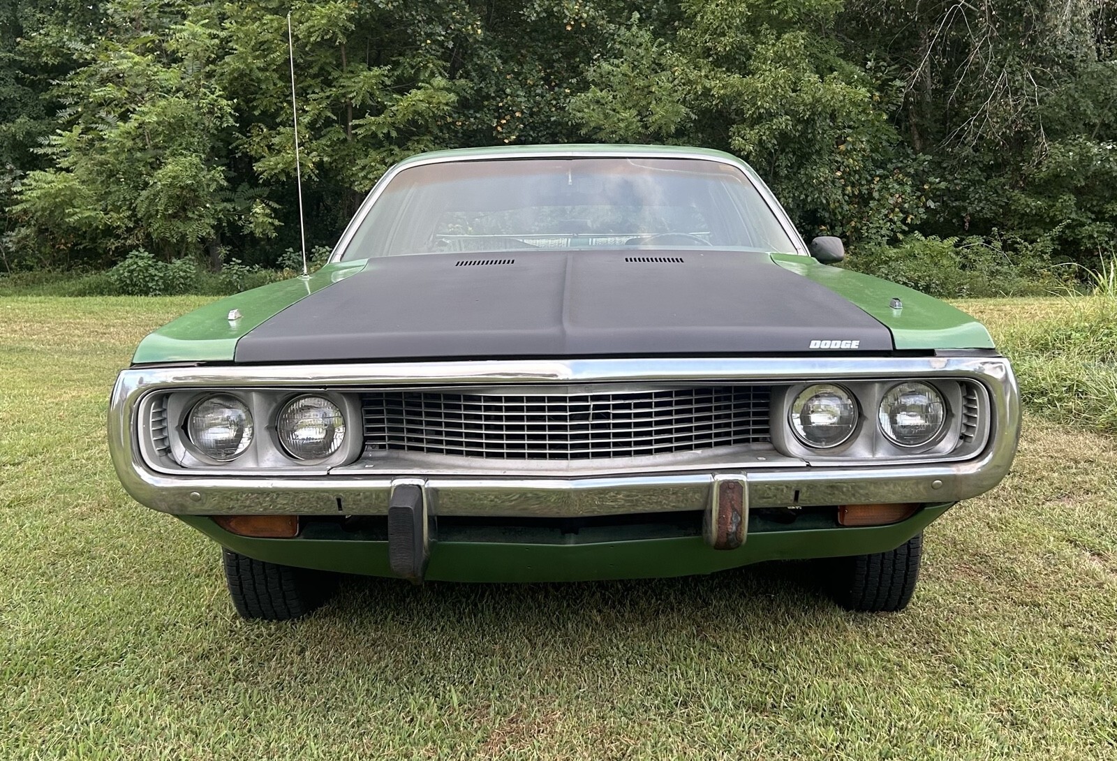 1973 Dodge Coronet Custom - photo 6