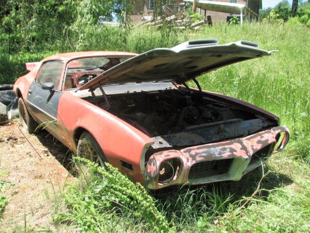 1973 Pontiac Firebird Deluxe - photo 2