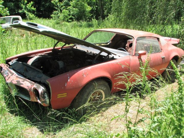 1973 Pontiac Firebird Deluxe - photo 3