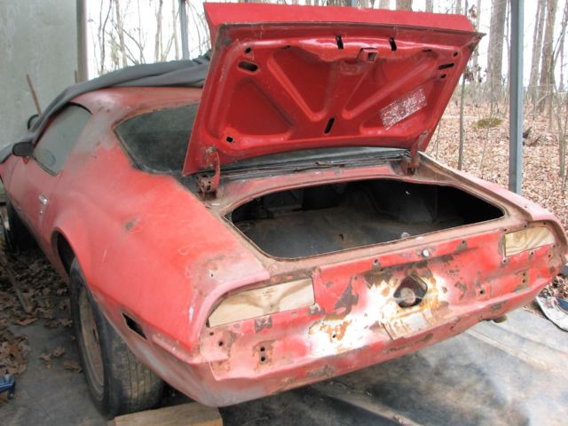 1973 Pontiac Firebird Deluxe - photo 5