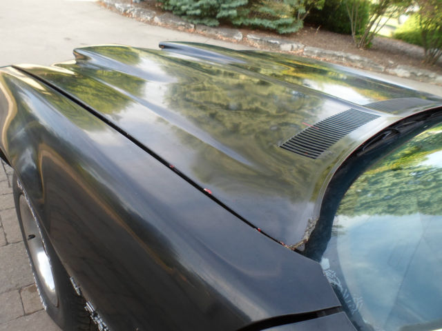 1973 Pontiac Firebird - photo 9