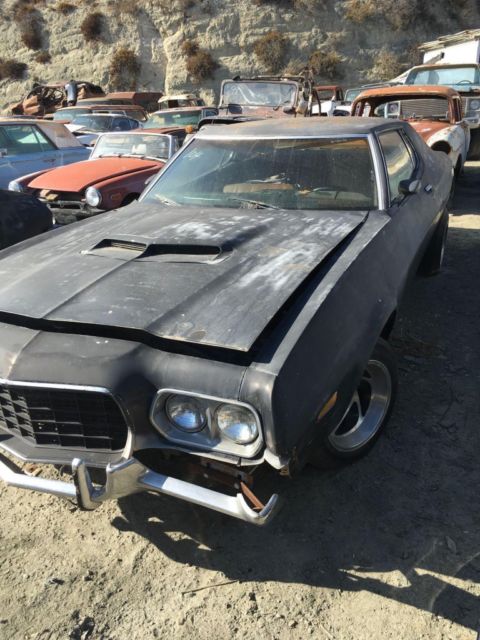1973 Ford Torino Gran Torino Sport - photo 7