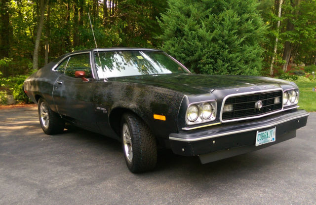 1973 Ford Torino Sport Fastback - photo 11