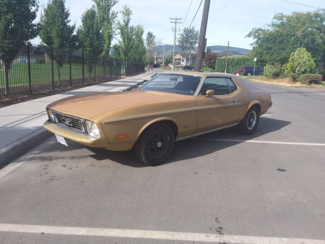 1973 Ford Mustang Base Hardtop 2-Door 5.0L No Reserve Relisted due to non payer 1973 Ford Mustang Base Hardtop 2-Door
