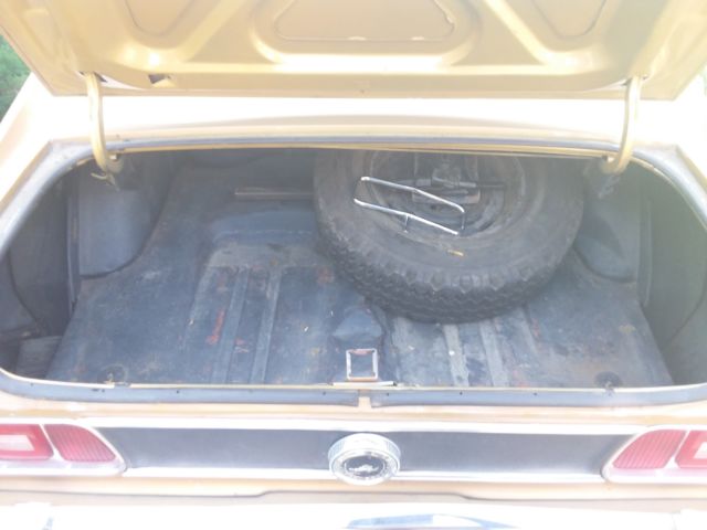 1973 Ford Mustang Base Hardtop 2-Door - photo 10