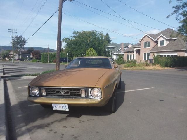 1973 Ford Mustang Base Hardtop 2-Door - photo 2