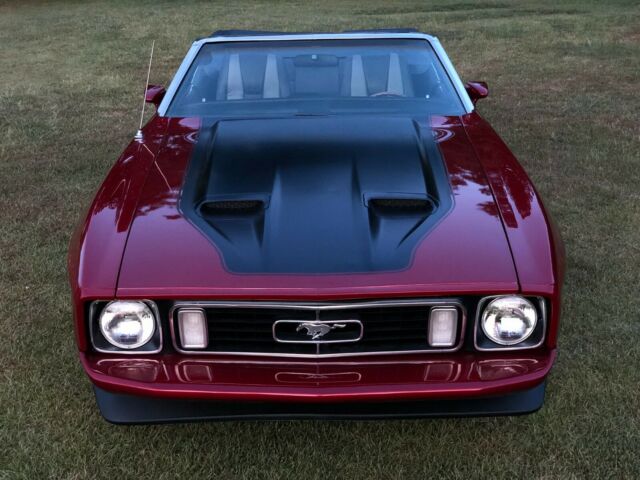 1973 Ford Mustang Mach 1 detail package - photo 2