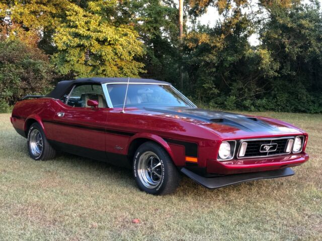 1973 Ford Mustang Mach 1 detail package - photo 3