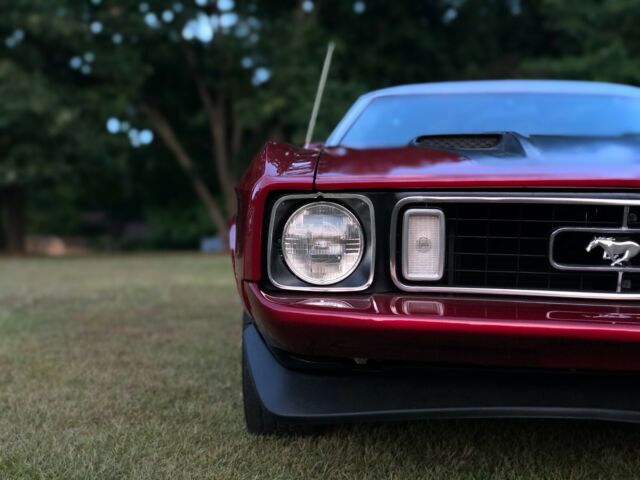 1973 Ford Mustang Mach 1 detail package - photo 4