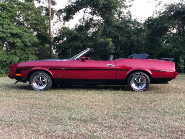 1973 Ford Mustang Mach 1 detail package - photo 9