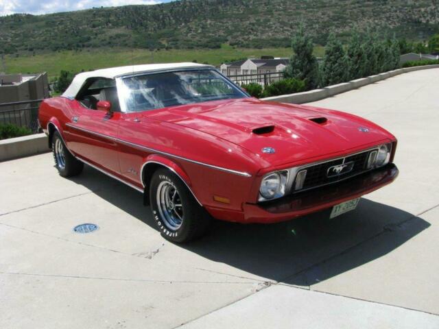 1973 Ford Mustang Mustang Convertible - photo 6