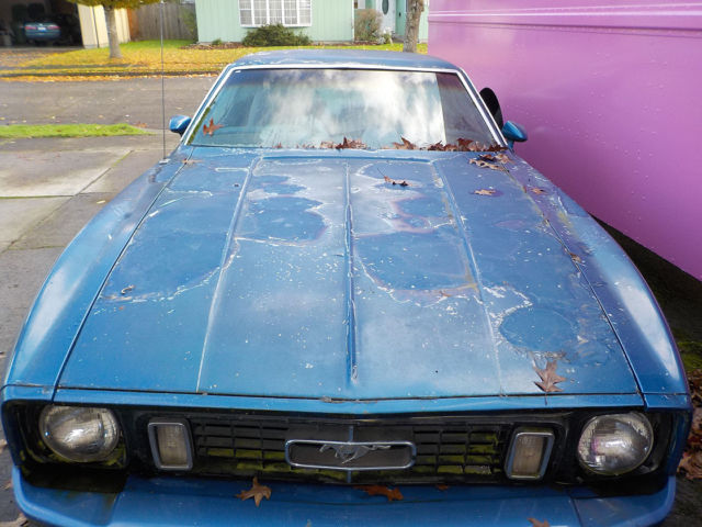 1973 Ford Mustang Grande - photo 2